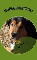 Cover of Mrs Amijanina Does Not Like Dogs by Matthew Ball