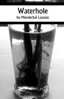 Cover of Waterhole by Mordechai Lazarus
