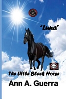 Luna the Little Black Horse
