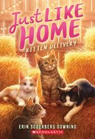 Erin Soderberg Downing's Latest Book