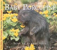 Cover of Baby Porcupine by Aubrey Lang
