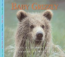 Cover of Baby Grizzly by Aubrey Lang