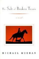 Cover of The Salt Of Broken Tears by Michael Meehan
