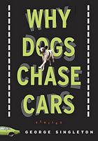 Why Dogs Chase Cars