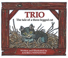 Cover of Trio by Andrea Wisnewski