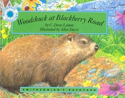 Woodchuck at Blackberry Road