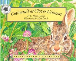 Cottontail at Clover Crescent