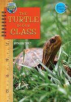 The Turtle in Our Class