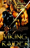 Cover of Viking Raider by Heide Katros