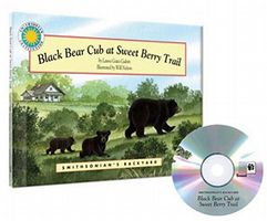 Black Bear Cub at Sweet Berry Trail