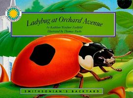 Ladybug at Orchard Avenue