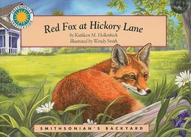 Cover of Red Fox at Hickory Lane by Kathleen M. Hollenbeck