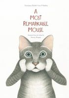 The Missing Mouse