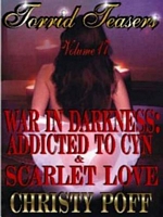 Cover of Torrid Teasers Volume 17 by Christy Poff