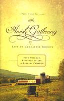 An Amish Gathering