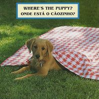 Cover of Where's the Puppy? by Cheryl Christian
