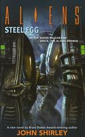 Steel Egg