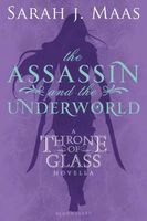 The Assassin and the Underworld