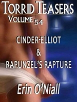 Cover of Torrid Teasers Volume 54 by Erin O'Niall