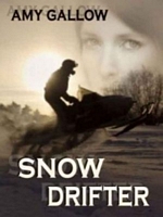 Cover of Snow Drifter by Amy Gallow