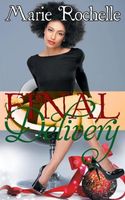 Cover of Final Delivery by Marie Rochelle