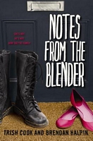 Notes from the Blender