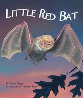 Little Red Bat