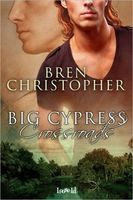 eBook edition cover