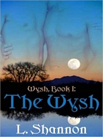 The Wysh book cover