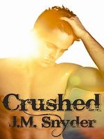 eBook edition cover