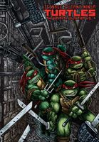 Teenage Mutant Ninja Turtles: The Ultimate Collection, Volume 4