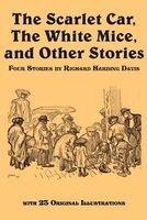 Paperback edition cover