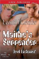eBook edition cover