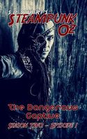 Cover of The Dangerous Captive by Steve Dewinter; S.D. Stuart