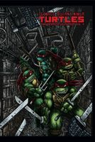 Teenage Mutant Ninja Turtles: The Ultimate B&W Collection, Vol. 4