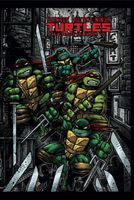 Teenage Mutant Ninja Turtles: The Ultimate B&W Collection, Vol. 5