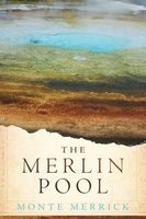 The Merlin Pool