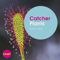 Catcher Plants