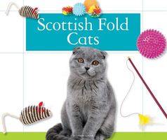 Scottish Fold Cats