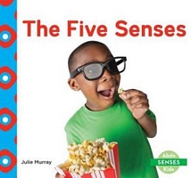 Five Senses