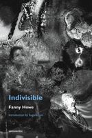 Fanny Howe's Latest Book