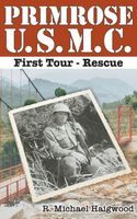 Paperback edition cover
