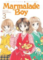 Cover of Marmalade Boy: Collector's Edition 3 by Wataru Yoshizumi