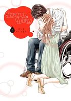 Cover of Perfect World 8 by Rie Aruga