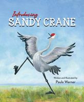 Cover of Introducing Sandy Crane by Paula Warner