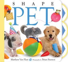 Matthew Van Fleet's Latest Book
