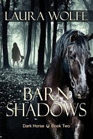 Cover of Barn Shadows by Laura Wolfe