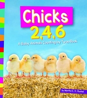 Chicks 2, 4, 6