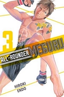 eBook edition cover