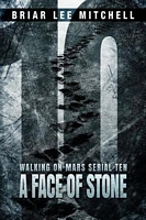 Cover of A Face of Stone by Briar Lee Mitchell
